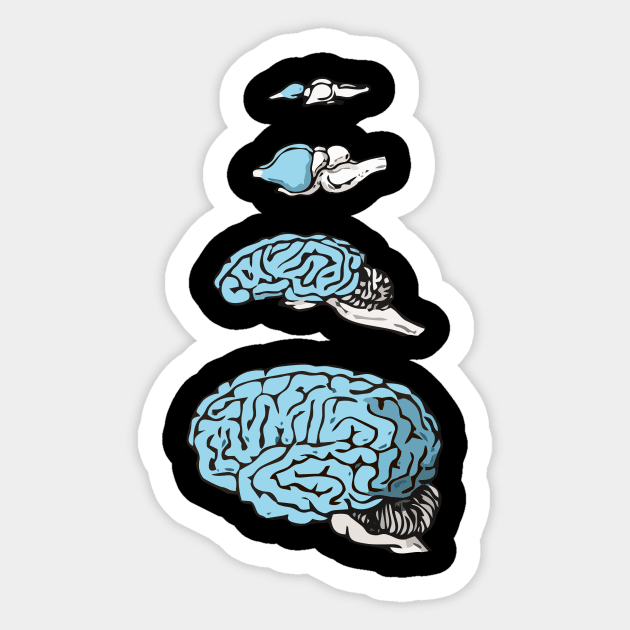 Neocortex Evolution Sticker by RosArt100